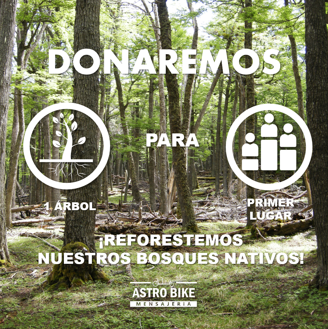 Ranking CO2 Donacion Arbol